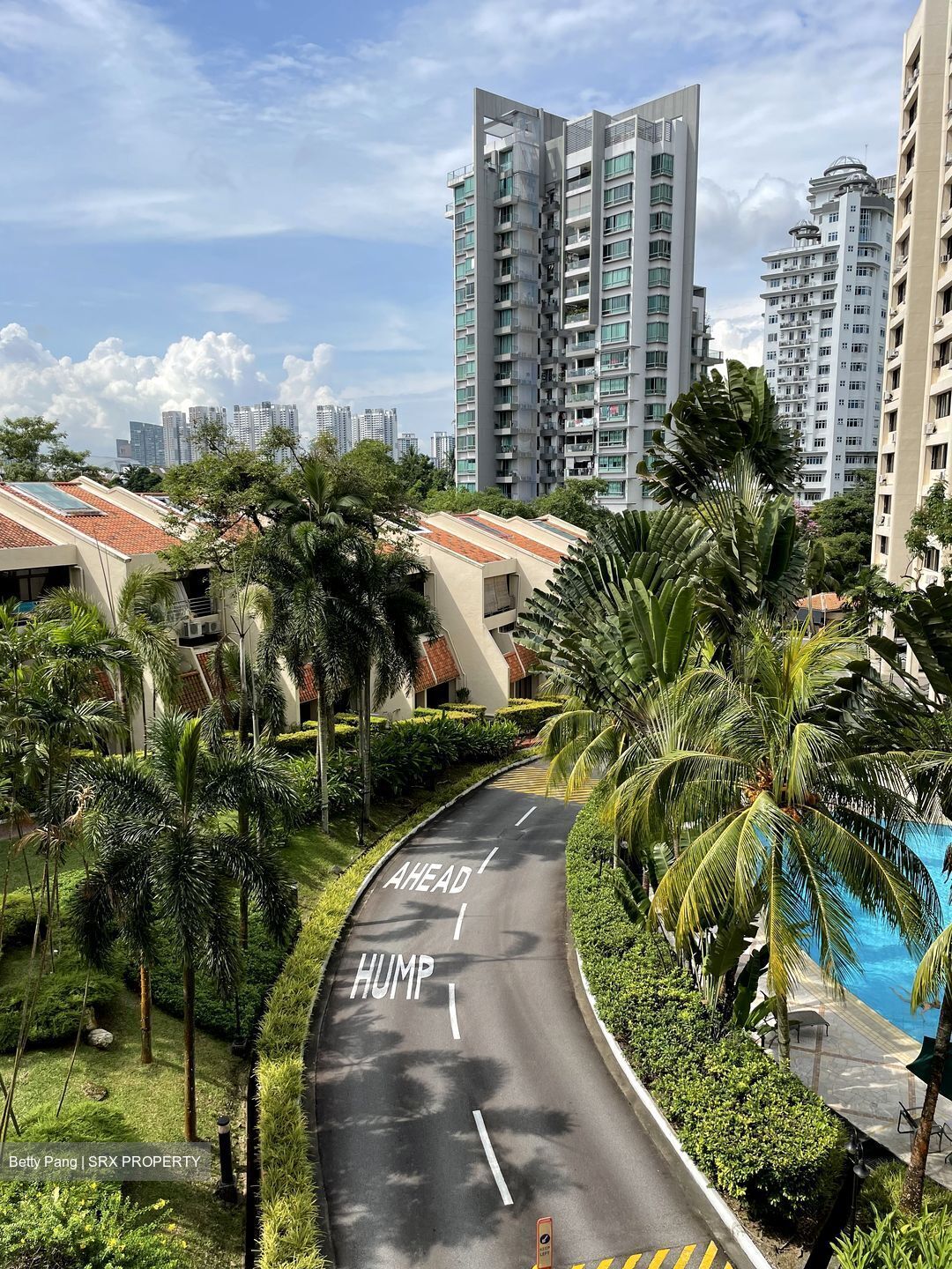 Allsworth Park (D10), Condominium #611586351